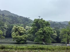 -北高峰