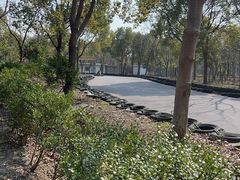 -上海海湾国家森林公园