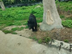 -西安秦岭野生动物园