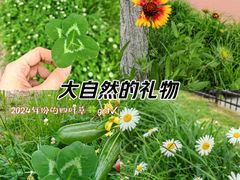 -渭河城市绿地运动公园