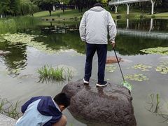 -昆山城市公园