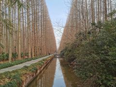 -上海怡沁园度假酒店