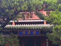 -蓬莱阁景区