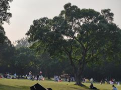 -东莞植物园