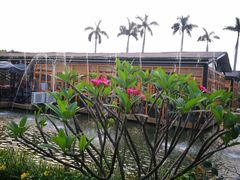 -花溪雨·森林餐厅(石基店)