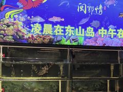 -闽鄂情·闽南招财鸭(水头店)