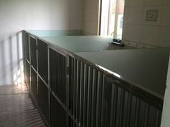 -鑫艺宠物美容培训学校