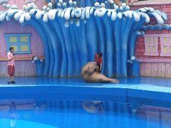 -华夏文旅海洋公园