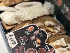 -芸山季·云南山珍菌火锅(人民广场来福士店)