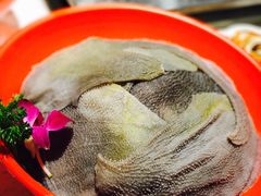 -二荆条·蜀鲜汇城市森林火锅