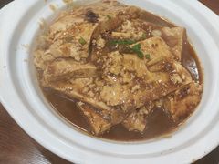 -邵年鸽(杨庄店)