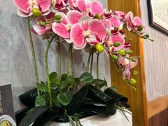 -杏花村水席楼·洛阳水席(老城十字街店)