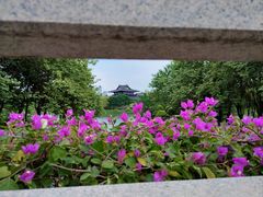 -海珠湖公园