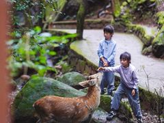 -昆明青龙峡风景区