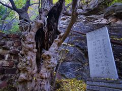 -苍岩山风景名胜区