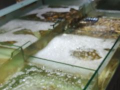 -利客来李村购物中心