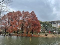 -海天湖公园