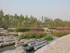 -大望京公园
