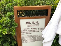 -英德宝晶宫天鹅湖茶语温泉