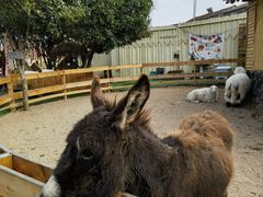 -HERRE·FARM 赫尔露营农场·团建聚会包场