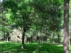 -石家庄市动物园