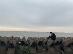 -上海滨江森林公园·停车场