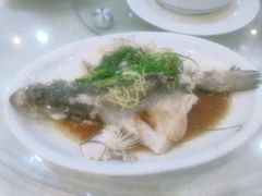 -台山美食一绝阿四台山黄鳝饭(阿四创作店)