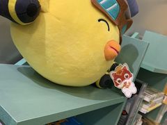 -编程猫·少儿编程(绿宝校区)