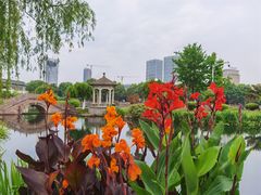 -月湖公园