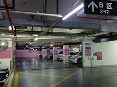 -复旦软件园·智慧新天地-停车场