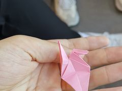 -海底捞火锅(大学路新象城店)