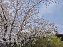 -堤角公园