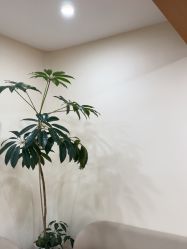 -HEYAN荷妍专业脱毛连锁机构