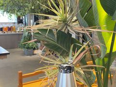 -野菌皇海景野生菌火锅(滨海大道店)
