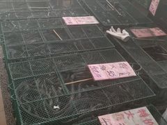 -荔城生鲜盛宴(番禺旗舰店)