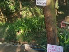 -火炉山森林公园