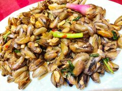 金不换炒薄壳-抱德·潮汕味(敦和店原惠城鱼仔)