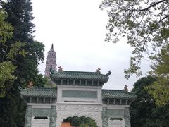 -顺峰山公园