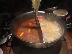 -鼎王麻辣锅(七贤店)