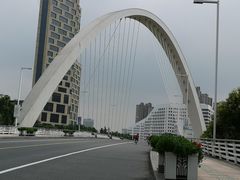 -陈家山荷花公园