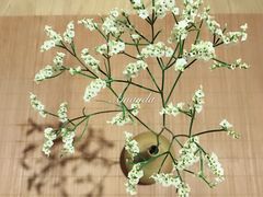 -柴务处·柴犬主题狗咖