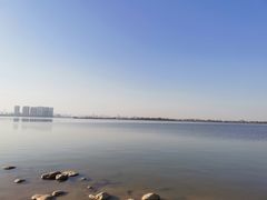-瑶湖郊野森林公园