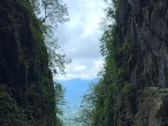 -塔云山