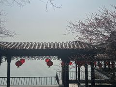-天目湖山水园