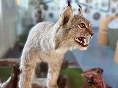 -洮儿河国家湿地公园