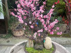 -昌州古城