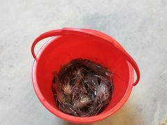 -会江钓鱼钓虾烧烤场