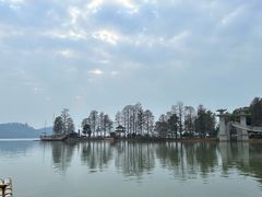 -东湖落雁景区