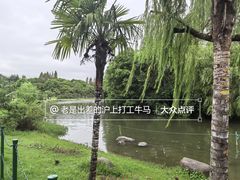-大宁公园