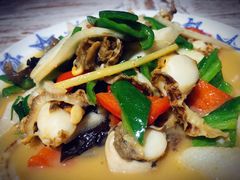 -十面欢腾·海鲜面·台式Bistro(长乐路店)